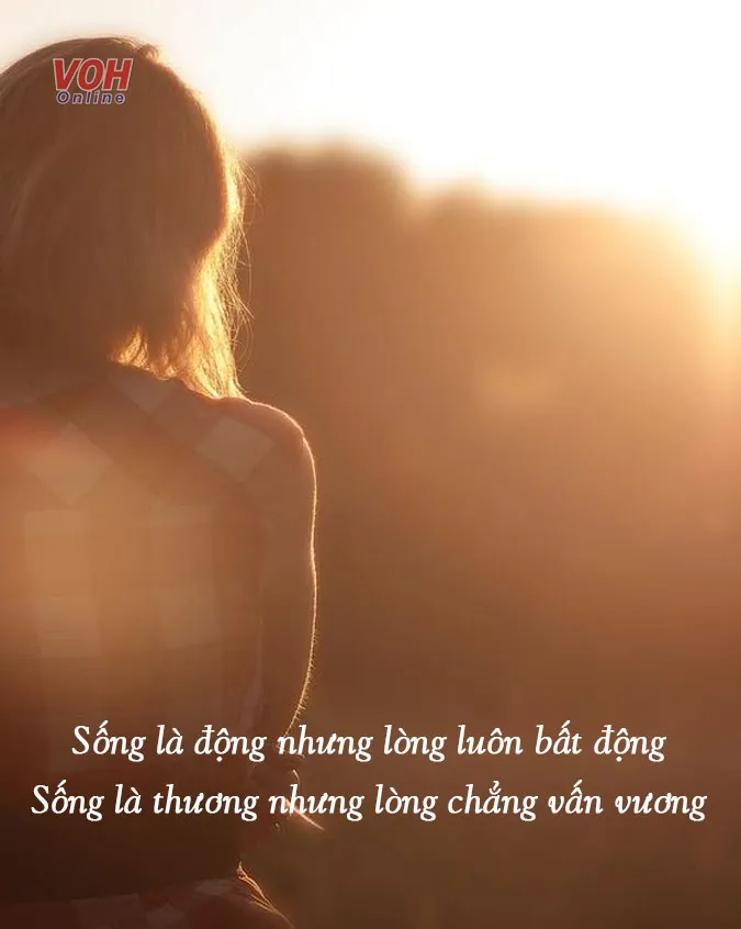 suy-ngam-ve-cuoc-doi-voi-17-bai-tho-ve-kiep-nguoi-y-nghia-voh-5