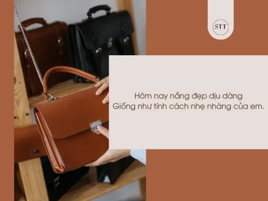 Top stt bán túi xách online hay “hái” bộn tiền