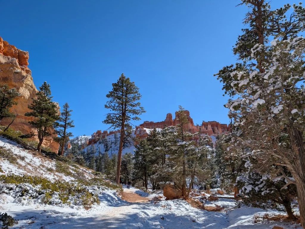 Bryce canyon national park tháng 11 2024