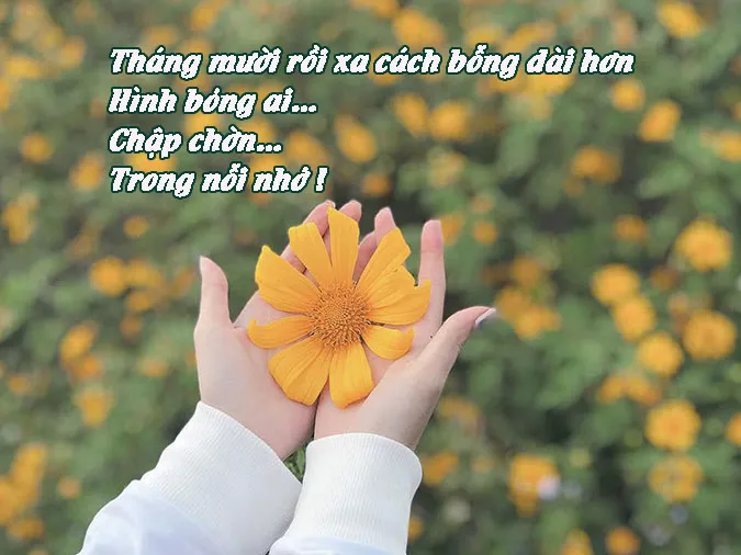 tho-thang-10-voh-2