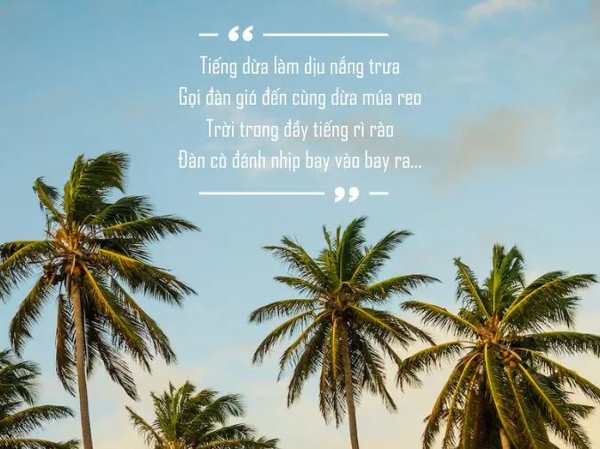Tuyển tập những bài thơ cây dừa hay nhất, xúc động nhất