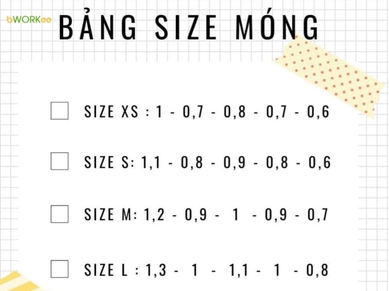 Bảng kích thước chuẩn của Nailbox (Bảng size móng tiêu chuẩn)