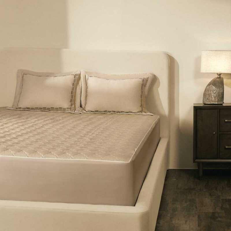ESTMC 26006 - Cánh đồng vàng