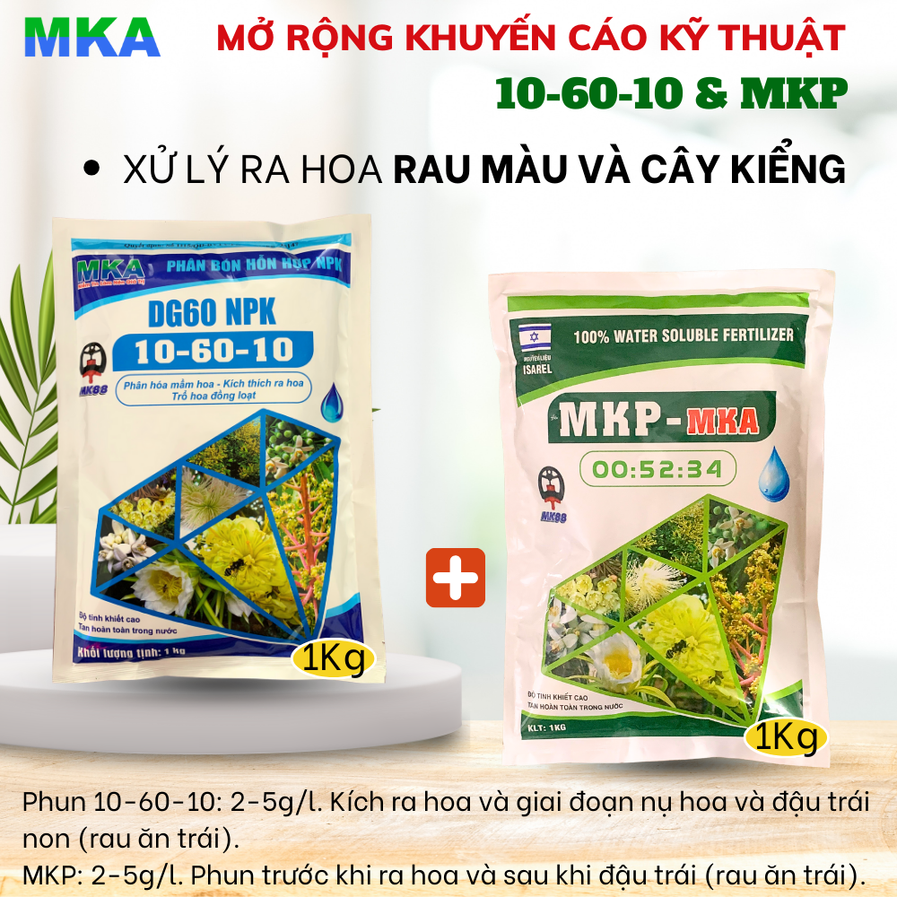 Lân cao 10-60-10 MKA lân tạo mầm kích thích ra hoa