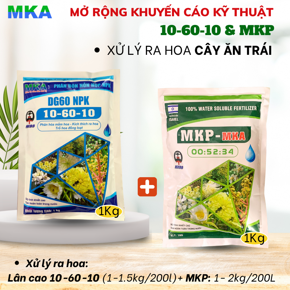 Lân cao 10-60-10 MKA lân tạo mầm kích thích ra hoa