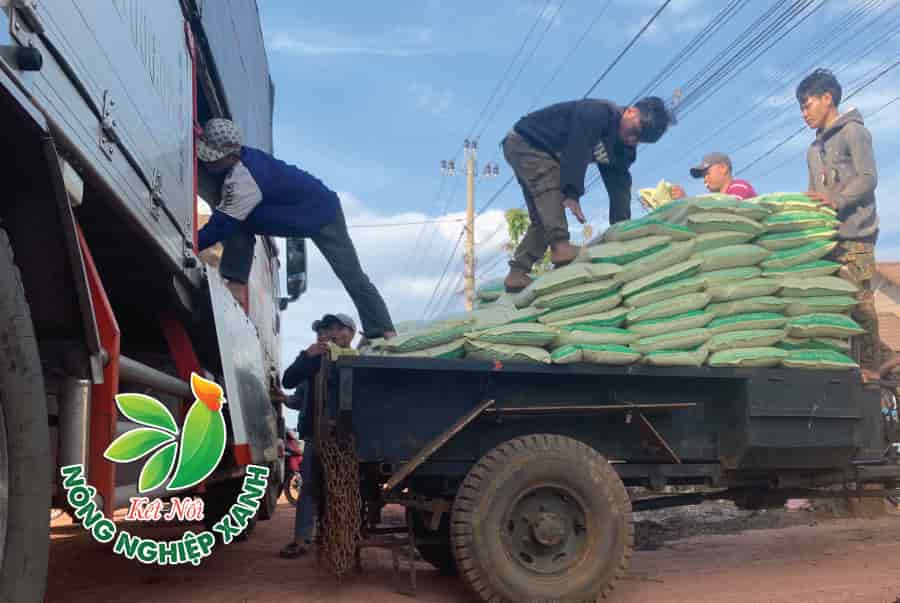Phân Gà Hữu Cơ Vi Sinh Nhật Bản Được Nhà Nông Tin Dùng Nhiều Năm Liền Vì Chất Lượng