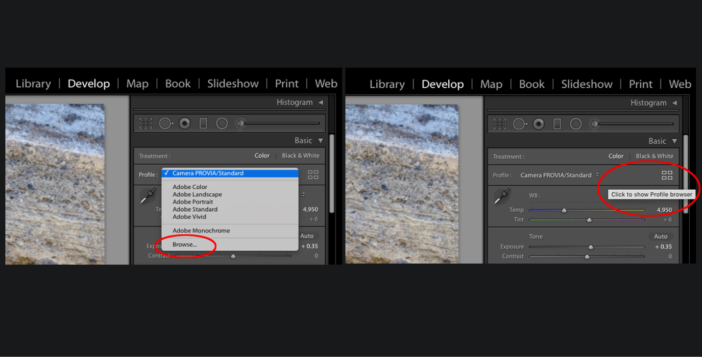 Chỉnh chế độ Camera Profile trên Adobe Lightroom