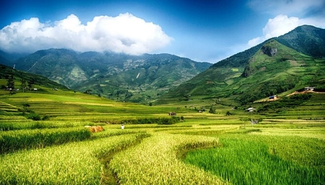 Đất khai hoang là gì? Được cấp Sổ đỏ không?