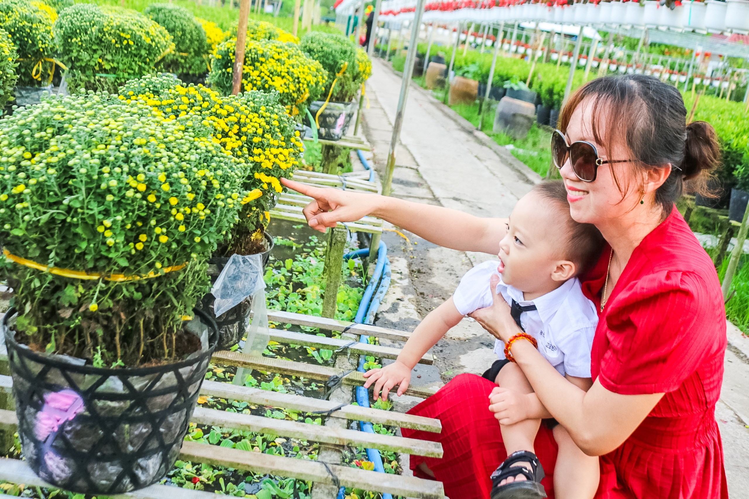 Khách lỉnh kỉnh rinh hoa Sa Đéc về trưng Tết - 7