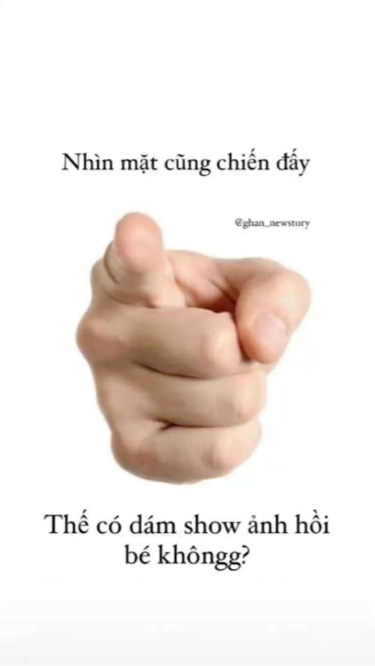 Loạt ảnh chế độc đáo này luôn khiến người xem nhớ lâu và cười lâu