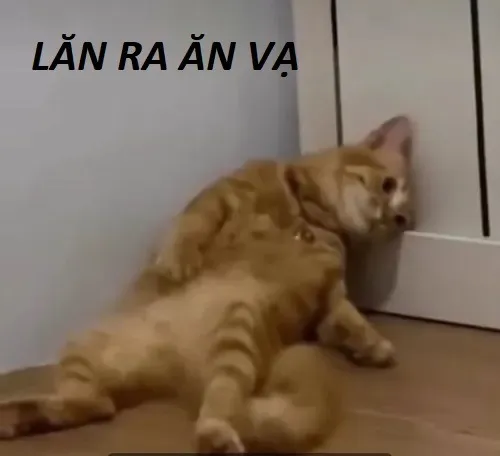 Bộ 20+ Meme Ăn Vạ cực hài, chân thực đến mức ai cũng thấy “giống mình”
