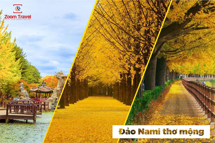 TOUR SEOUL - NAMI - EVERLAND - MÙA THU HÀN QUỐC