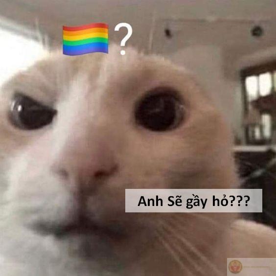 Ảnh meme sẽ gầy