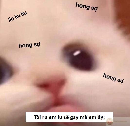 chế ảnh sẽ gầy
