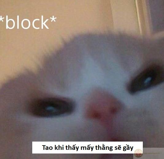 chế meme sẽ