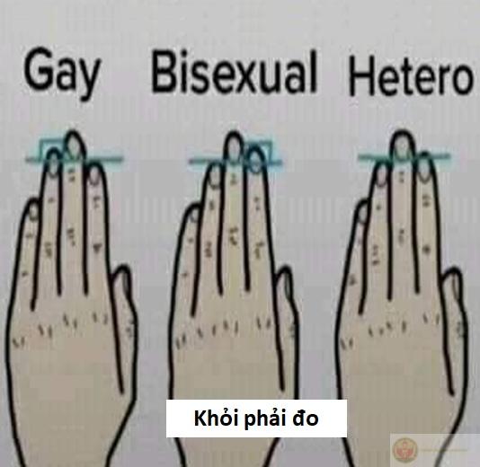 chế meme sẽ gầy hài