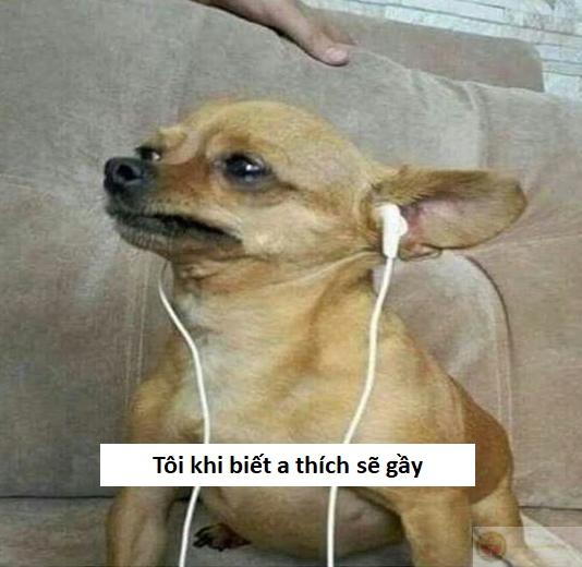 Chế meme sẽ gầy vui nhất