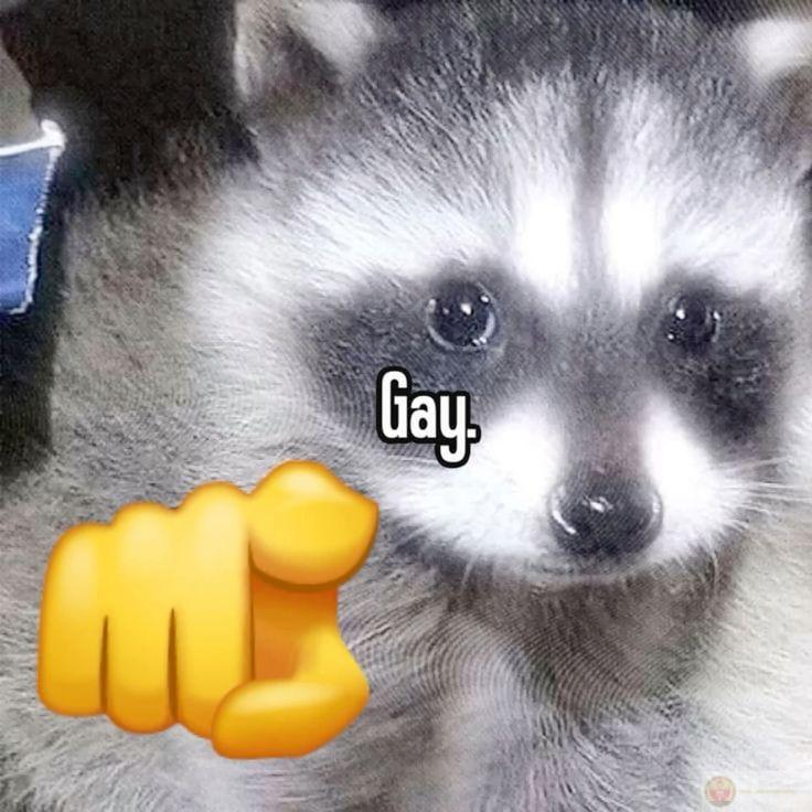 Meme chế ảnh sẽ gầy hài hước nhất