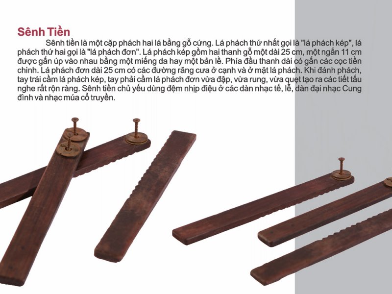 xam13_sênh