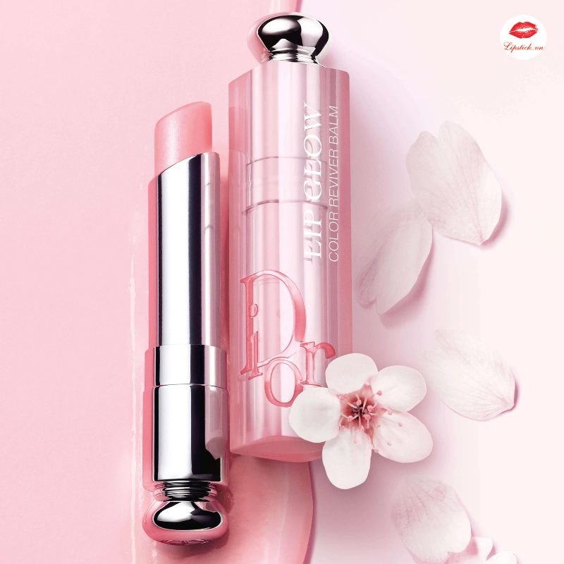 son-dior-033
