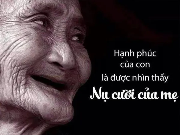 25-bai-tho-ve-nu-cuoi-hay-nhat-chua-dung-nhieu-cam-xuc-12-voh