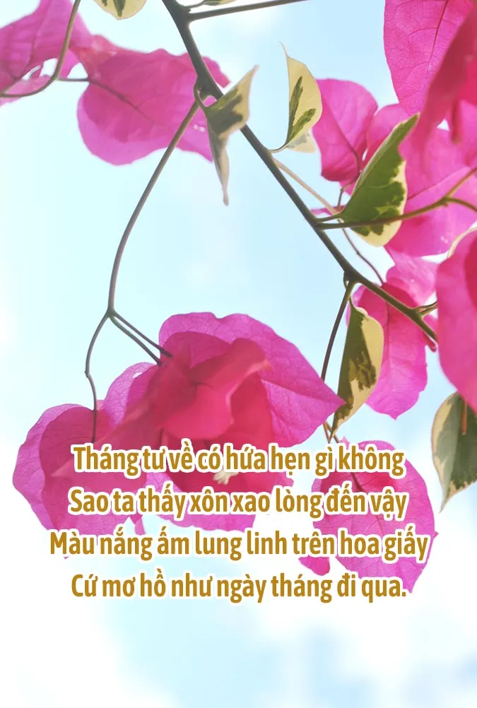 Chùm thơ tháng 4 chạm vào khoảnh khắc giao mùa dịu dàng 2