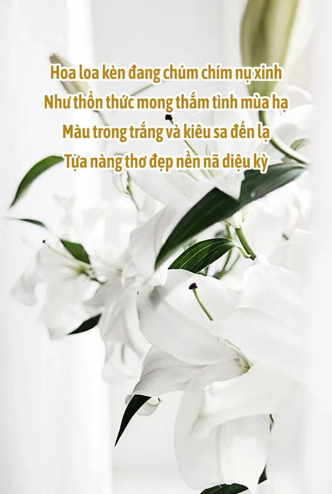 Chùm thơ tháng 4 chạm vào khoảnh khắc giao mùa dịu dàng 5