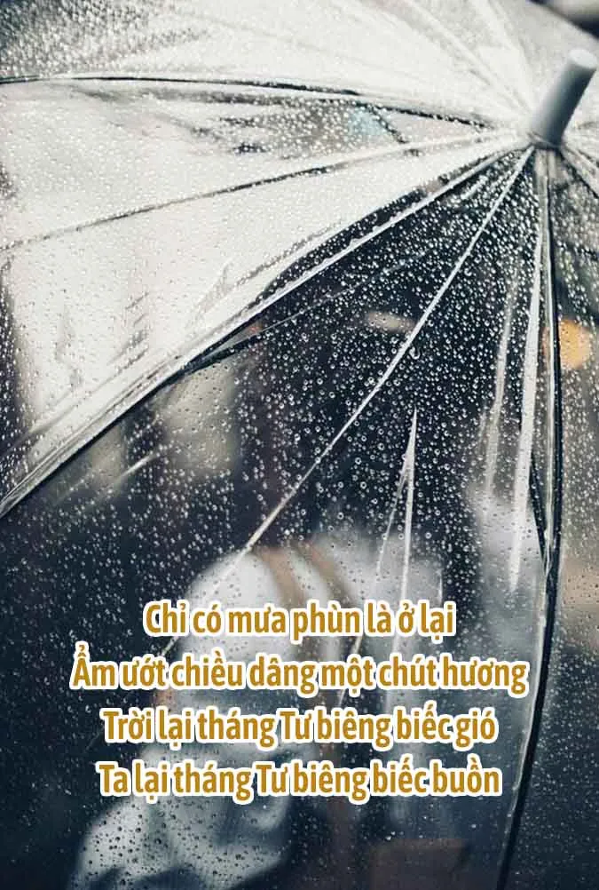 Chùm thơ tháng 4 chạm vào khoảnh khắc giao mùa dịu dàng 6