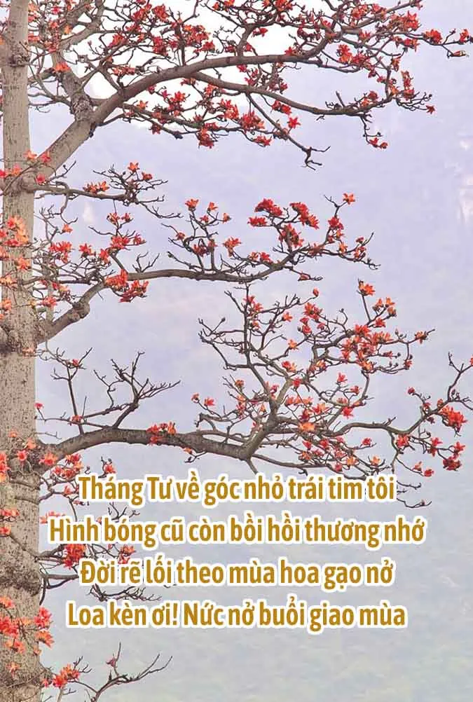 Chùm thơ tháng 4 chạm vào khoảnh khắc giao mùa dịu dàng 7
