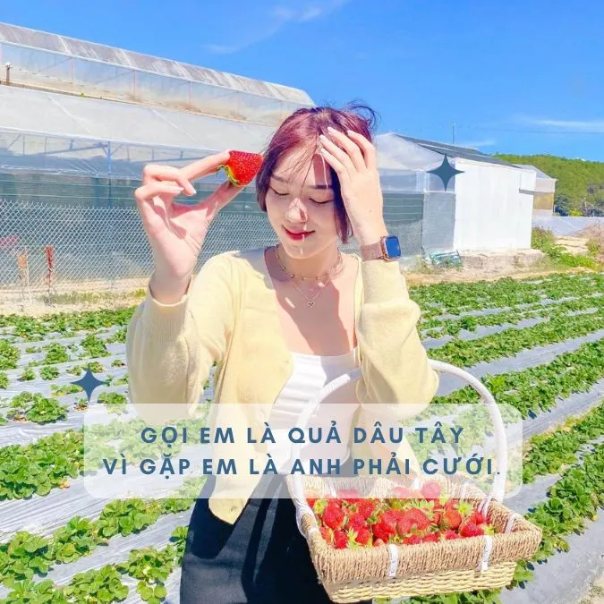 Tổng hợp stt về dâu tây, những bài thơ về vườn dâu đầy cảm xúc 2