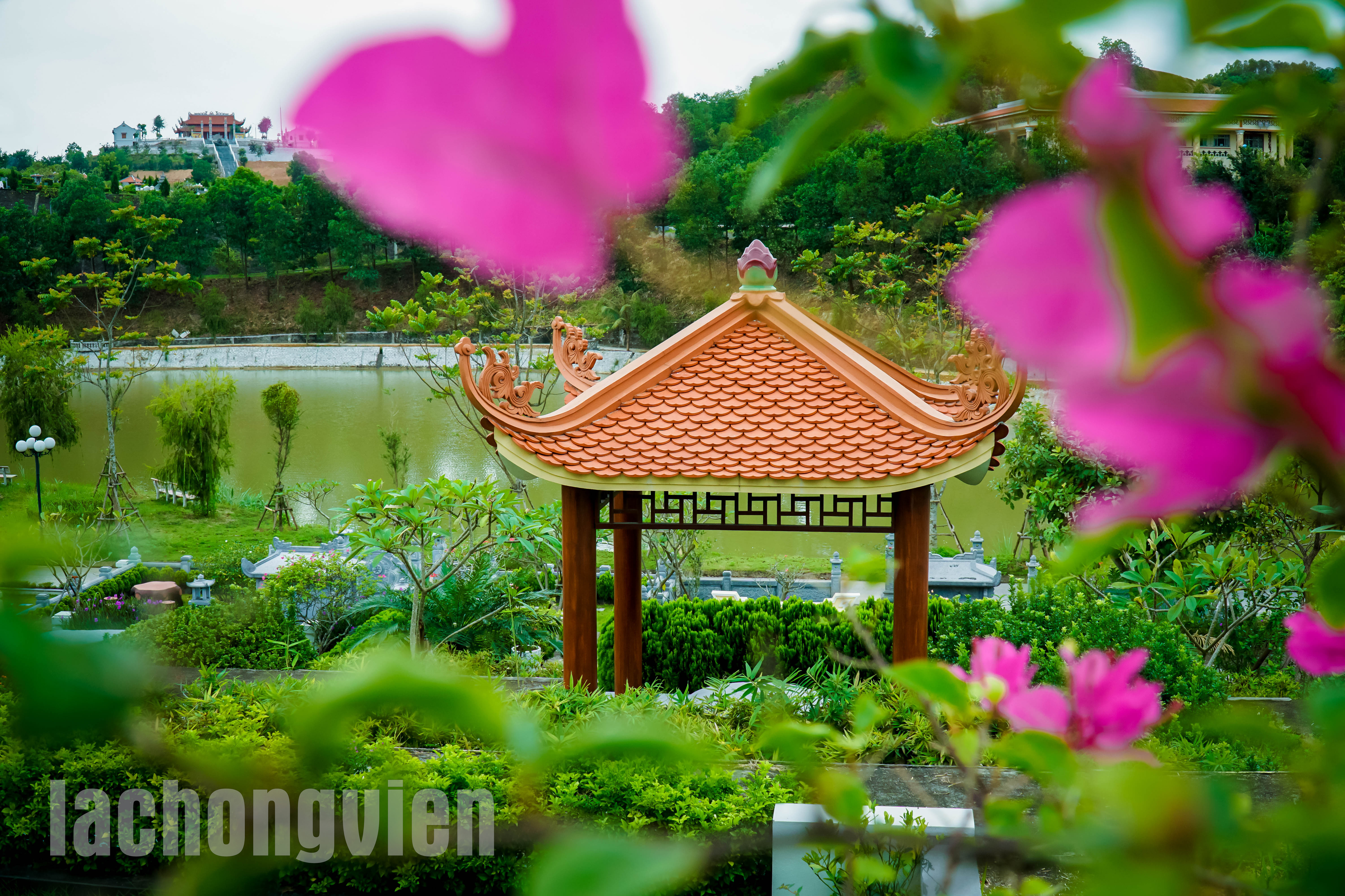 choi nghi chan 1