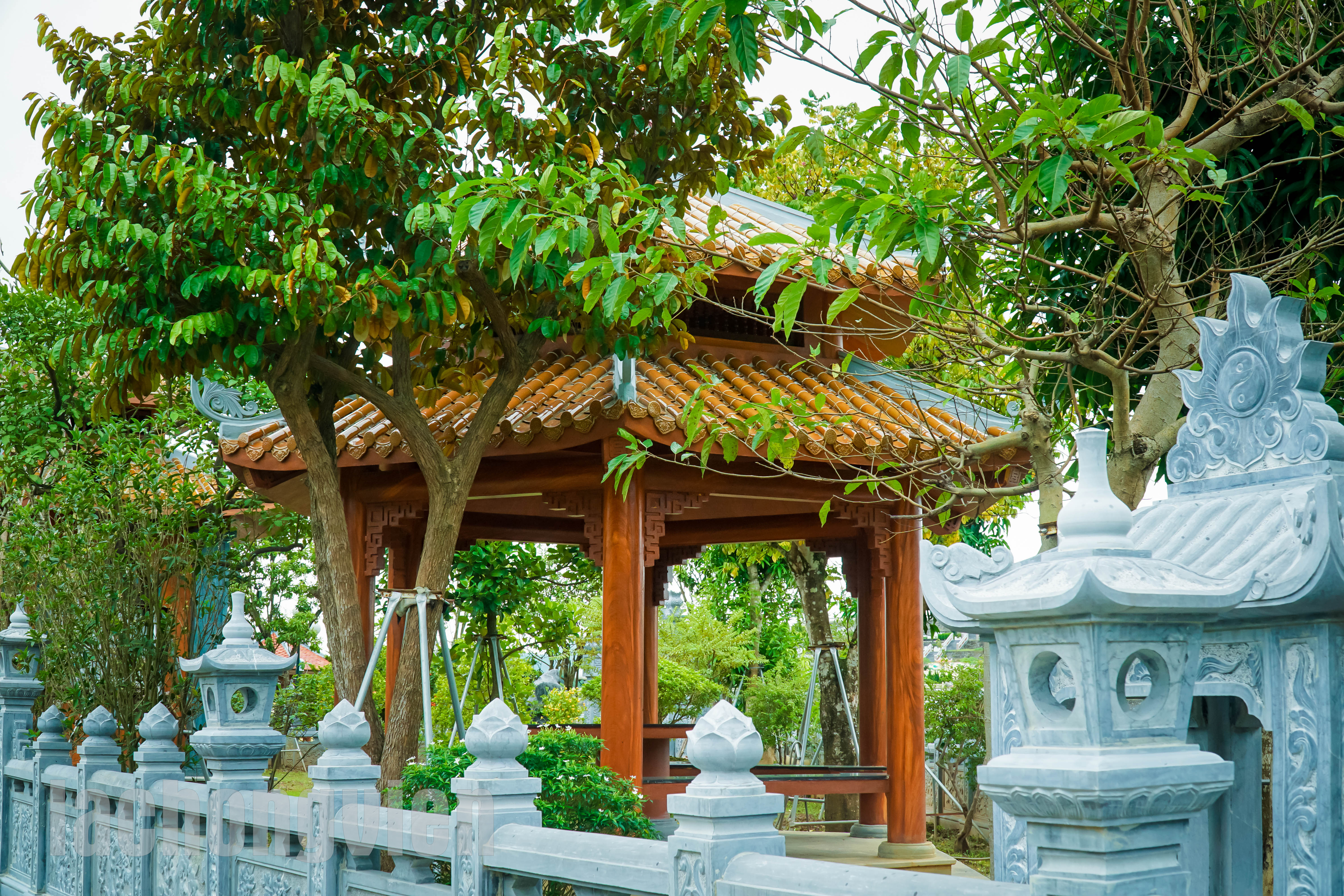 choi nghi chan 1